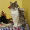 Отзыв от Катюша Лыкова